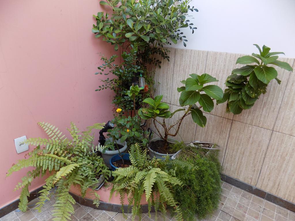 Albergue Rio Vermelho Salvador